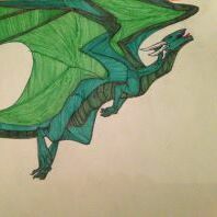 Team Page: Krassner-Murray Dragons